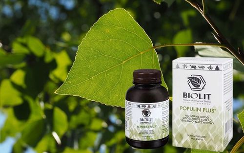 BIOLIT POPULIN PLUS | ekstrakt topoli czarnej | Taksyfolina | 200ml na Arena.pl