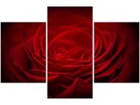 90X60CM OBRAZ RÓŻA UKOCHANEJ TRZY OBRAZY