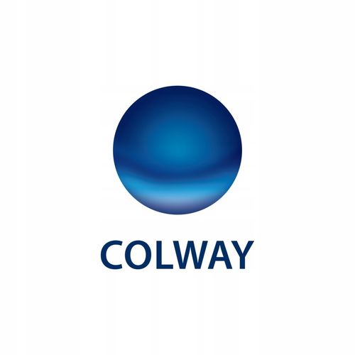 Colvita COLWAY 120 Kaps - Kolagen Na Skórę Stawy Włosy Paznokcie + GRATIS na Arena.pl