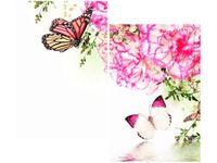 80X70CM KOLOROWE MOTYLKI DUO OBRAZ