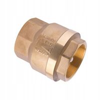 Zawór zwrotny Calido 2'' CA/ZZC-50
