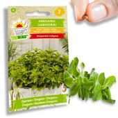OREGANO LEBIODKA NASIONA ZIÓŁ ZIOŁA AROMATYCZNE ZIOŁO KAŻDEJ KUCHNI 0,