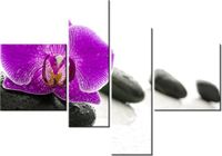 product-compare-58702710