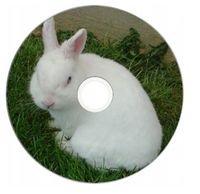 Nadruk na płycie Maxell CD-R 80 52x 010