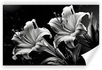 Fototapeta PREMIUM STRUKTURA ZMYWALANA NA WYMIAR czarno biała lilia