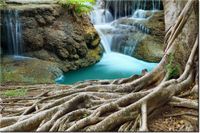 product-compare-58694370