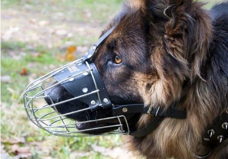 Kaganiec Dla Psa Metalowy Owczarek Niemiecki Pies na Arena.pl