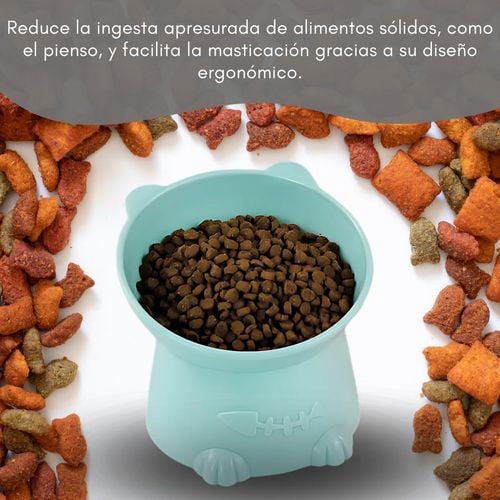 Podwyższona Miska dla Kota 15 Stopni Kształt Kota Zielona Ergonomiczna na Arena.pl