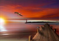 Fototapeta 3D widok most zachód słońca 200x130 FL