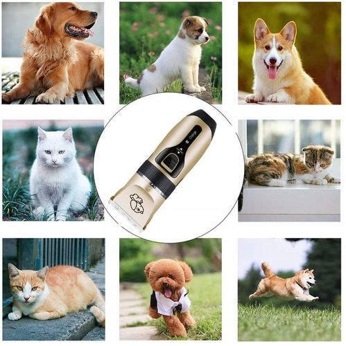 Bezprzewodowa MASZYNKA DO STRZYŻENIA PSÓW PSA ZWIERZĄT kota ZESTAW na Arena.pl