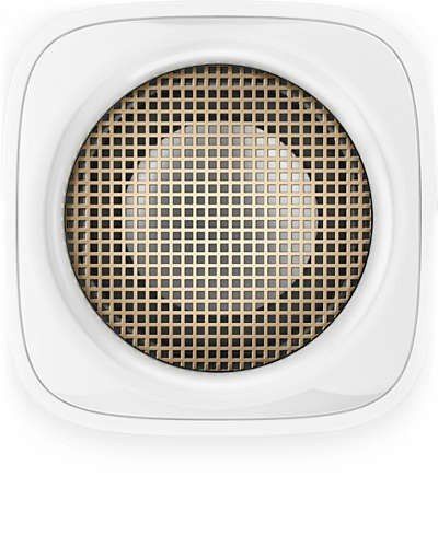 Philips Głośnik przenośny BT100W na Arena.pl