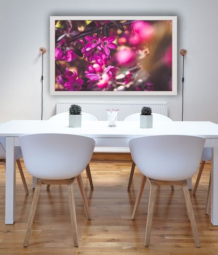 Jabłoń - plakat premium 100x70 cm na Arena.pl