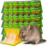 50x LEP na myszy SZCZURY silna pułapka MOCNY KLEJ Aromat MYSZOŁAPKA