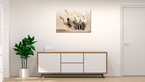 Obraz Tryptyk 60X40 Zebra na Arena.pl