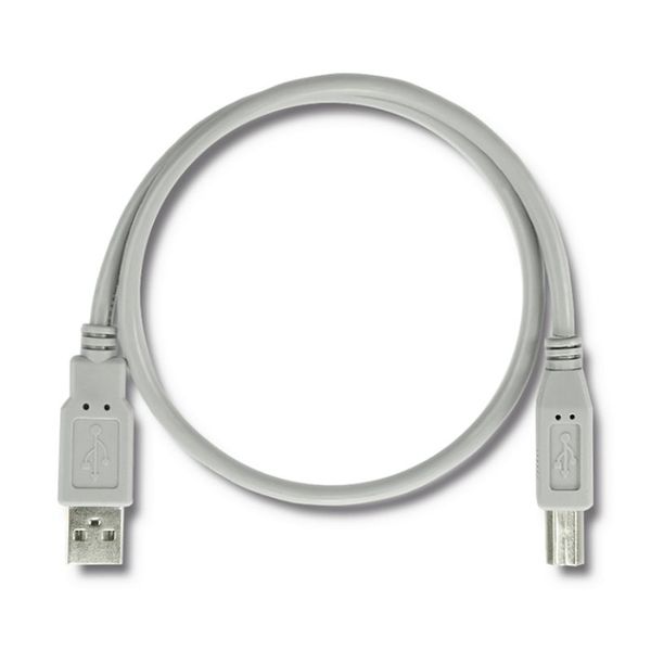Qoltec Kabel USB 2.0 A męski | B męski | 0.5m zdjęcie 2