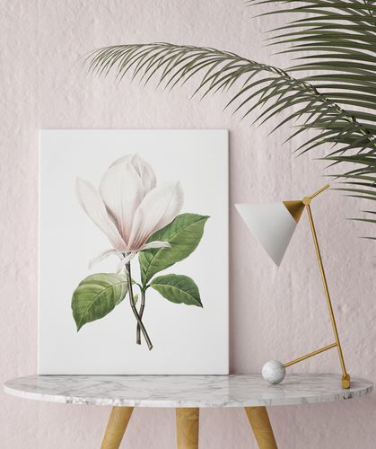 Plakat cyfrowy do wydruku vintage magnolia na Arena.pl