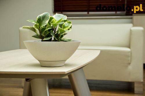 DONICZKA PLANET 290 A3 na Arena.pl