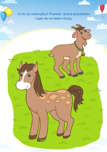 Akademia 4-Latka na Arena.pl