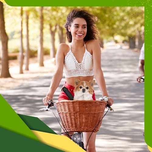 MINI POMPKA ROWEROWA RĘCZNA ALUMINIOWA KOMPAKTOWA DO ROWERU HULAJNOGI 7 BAR na Arena.pl