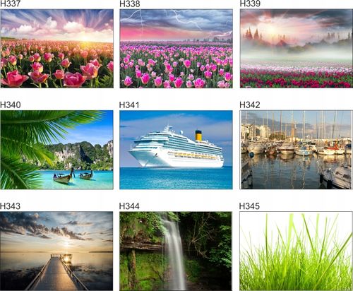 Fototapeta 3D widok kwiaty góry we mgle 200x130 FL na Arena.pl