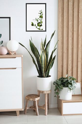 Ramka A3 ramka na zdjęcia ramki czarna 29,7x42 na Arena.pl