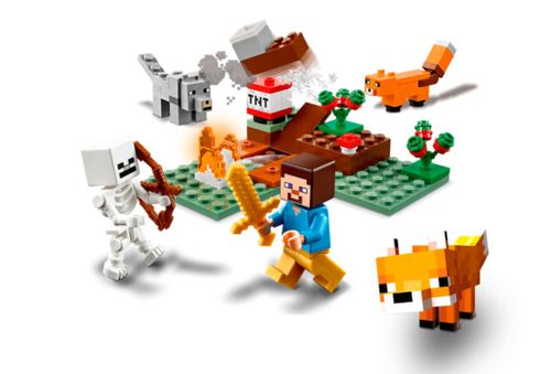 LEGO 21162 na Arena.pl