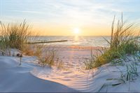 Fototapeta Plaża MORZE Wydmy Słońce do Salonu 450x300