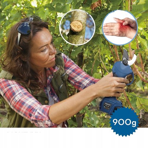 SWANSOFT Sekator Elektryczny, 850W 16,8V 2Ah, Sekator Sadowniczy PRU28 na Arena.pl