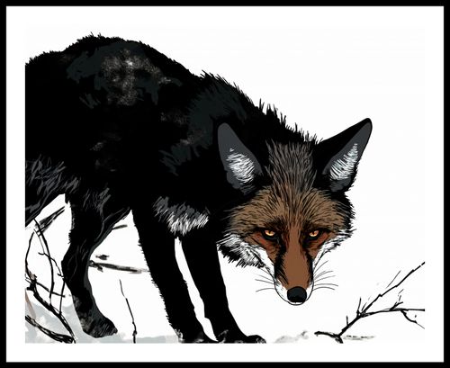 Plakat 76x60,5cm Nieufny Lis na Arena.pl