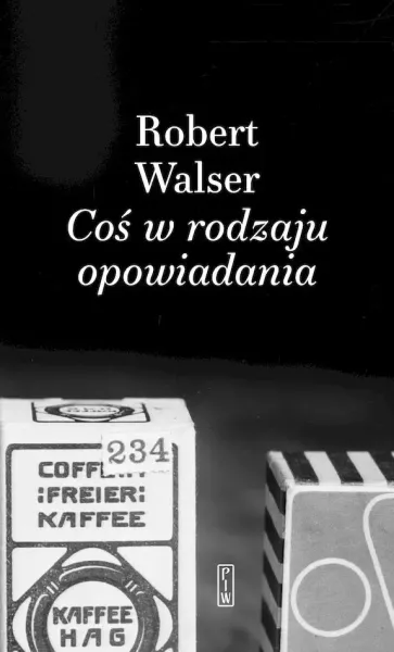 Coś W Rodzaju Opowiadania zdjęcie 1