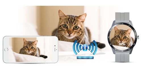 Zegarek SMARTWATCH G.ROSSI SW018-2 na Arena.pl