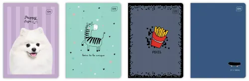 Zeszyt A5/16K Kratka Kol 70G Uv Mix Int A 20 na Arena.pl