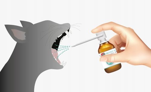 VET PROTECTOR JAMA USTNA-SPRAY 30ml WYSYŁKA GRATIS na Arena.pl