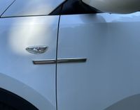 Skoda Seat Volvo Jeep - Listwy CHROM Boczne Drzwi