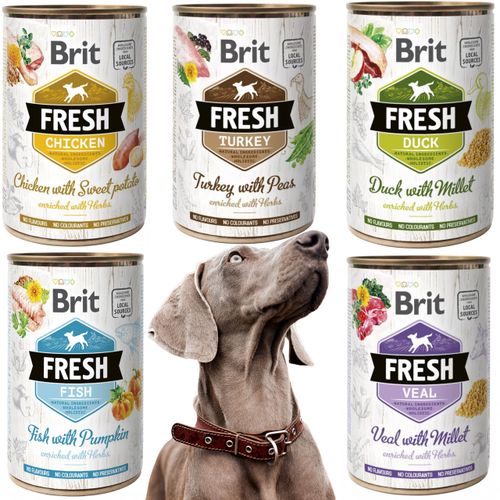 mokra karma dla psa brit fresh 400g duck & millet kaczka proso bez glutenu na Arena.pl