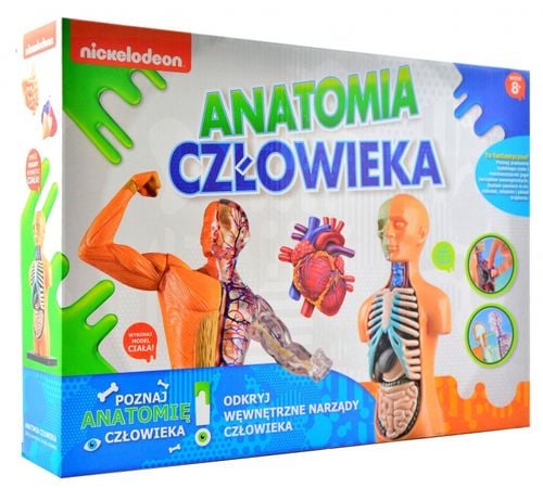 ANATOMIA CZŁOWIEKA na Arena.pl