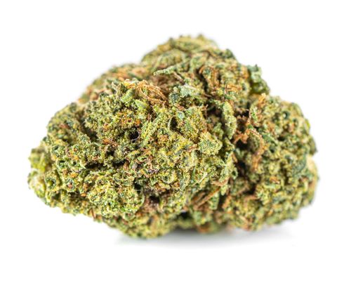 Susz konopny CBD | AMNESIA HAZE | 100 g na Arena.pl