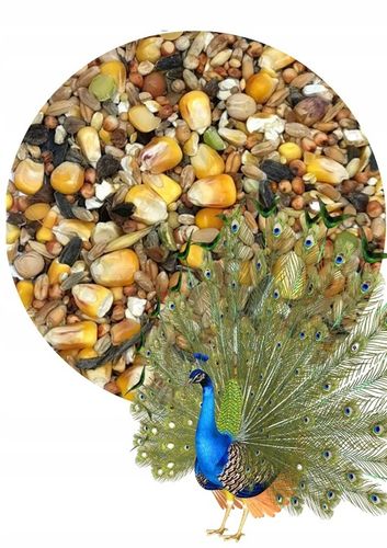 Zdrowa i Smaczna Karma dla Pawi 20kg na Arena.pl