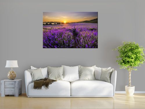 Obraz drukowany na płótnie canvas 120x80 + GRATIS na Arena.pl