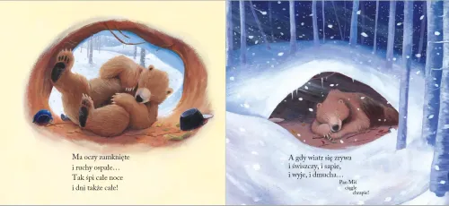 Pan Miś chrapie na Arena.pl