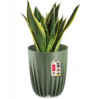 EKO DONICZKA OSŁONKA + WKŁADKA ZIELONA 14,5x17CM