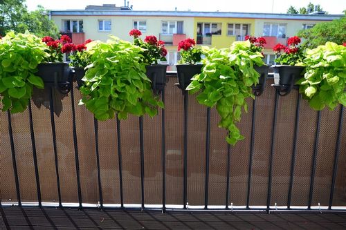 Osłona Balkonowa Tarasowa na Balkon Płot Taras 5m na Arena.pl