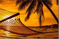 product-compare-58694959