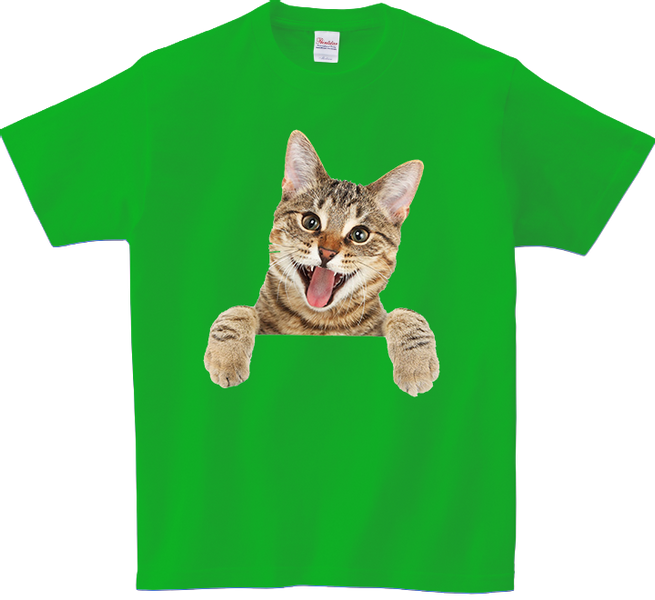 Koszulka T-shirt Kot zdjęcie 1