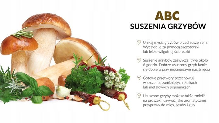 SUSZARKA SPOŻYWCZA DO GRZYBÓW MPM MSG-01 BPA FREE zdjęcie 3