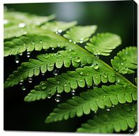 product-compare-59468025