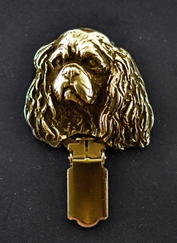 Cavalier King Charles Spaniel - klips - 1024 na Arena.pl