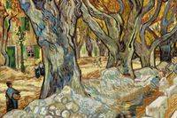 Plakat 60x40cm The Large Plane Trees, Van Gogh Vintage