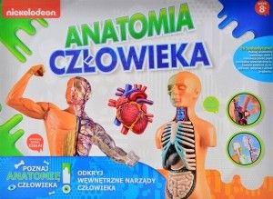ANATOMIA CZŁOWIEKA na Arena.pl