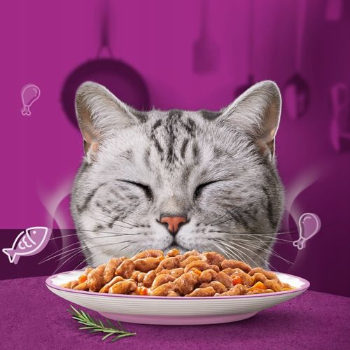 WHISKAS AROMATIC SELECTION MIX SMAKÓW AROMATYCZNA MIESZANKA W SOSIE 40x85g na Arena.pl